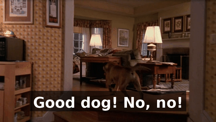 2acde79a-0de0-41bf-845f-5d30e91c9bc6.gif