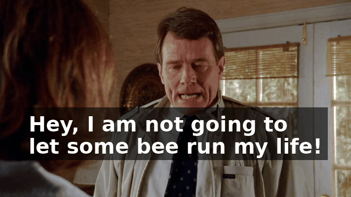 f7f6448f-ac1f-4985-9c4d-437d21caec04.gif