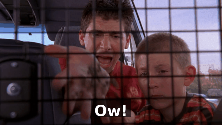 8a8efee0-9d9a-4327-a55a-71b036a4ebc1.gif
