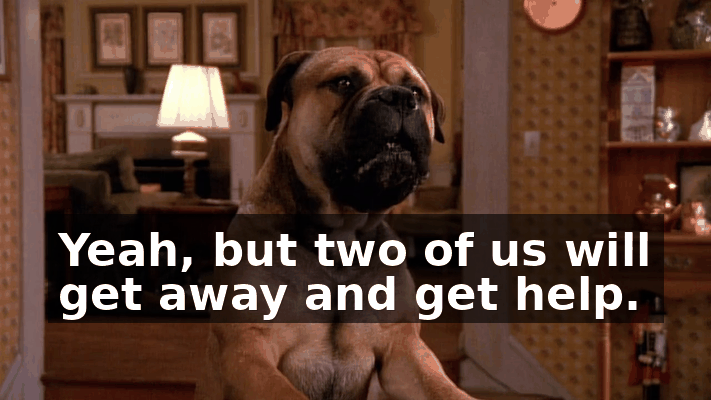 ac90866d-edb3-4cfc-aa32-8f0571e07556.gif