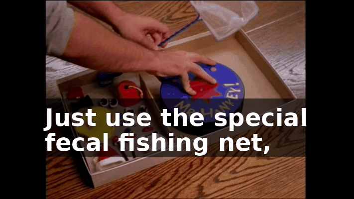 5564c4c7-f36d-4b6d-a913-a0f3b0091e37.gif