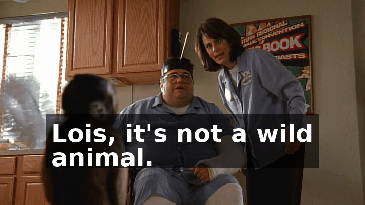 35d3acc3-1ad3-45a1-829e-8127964dd4dd.gif