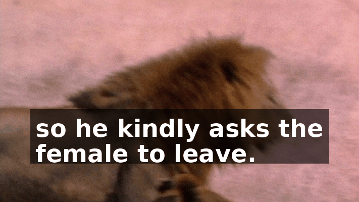 965dfce4-593c-4759-8277-e7295fd44329.gif