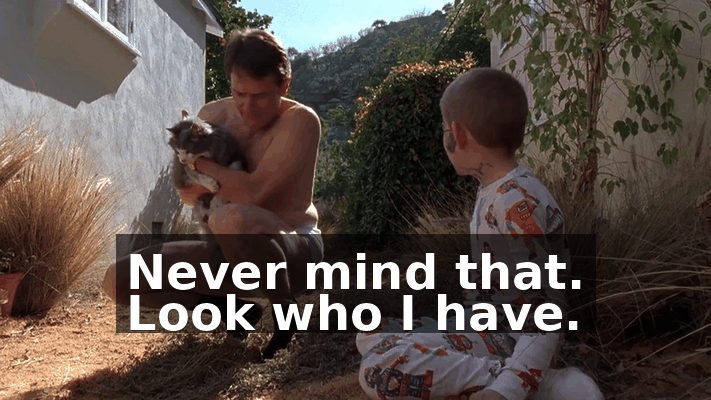 e704d253-8d5a-4a42-9aab-674199bd578f.gif