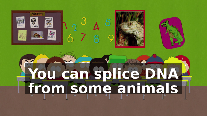 77ddae26-8d2e-4c45-b64a-2fa2eb57dcd5.gif
