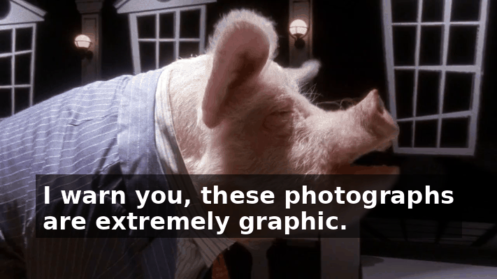 7cf13442-1ca9-4202-8067-340b3f1f1c9e.gif