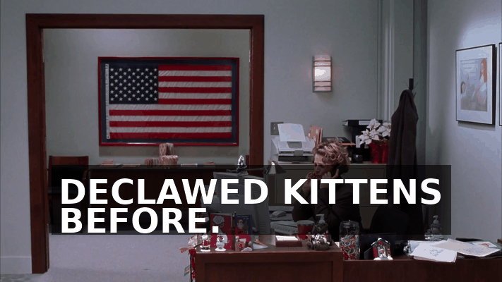 2d8c5d97-2fdf-4b45-979a-73e89e17c4ff.gif