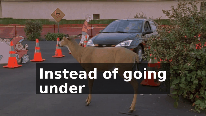 cd148ed9-552a-4f0c-ba9d-9eba779b4544.gif