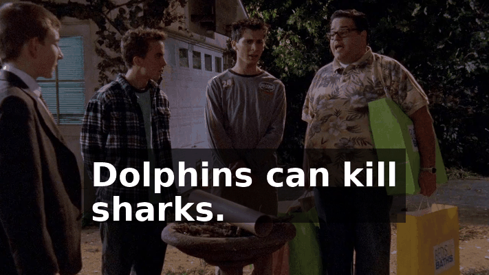 f946c544-51ad-46bc-9423-1c2c55d9fc0b.gif