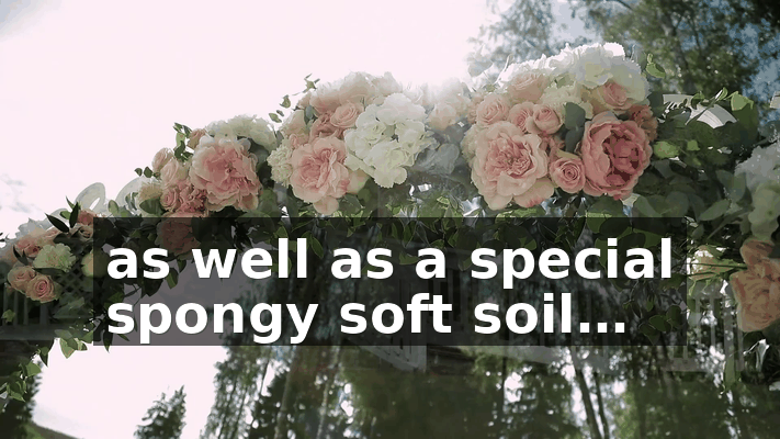 61c74a73-b1eb-4730-9e68-f734a08121bb.gif