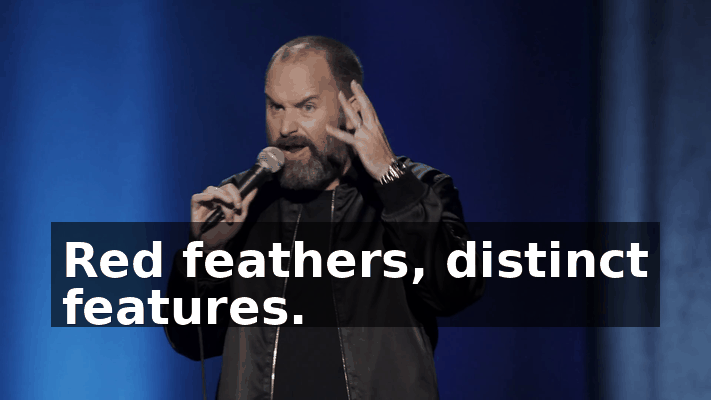3d28b2d8-6179-4f59-8a97-a2a842e4f68b.gif