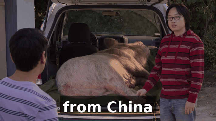 10c1df55-a9e6-4636-a632-6e8fcf0e081c.gif