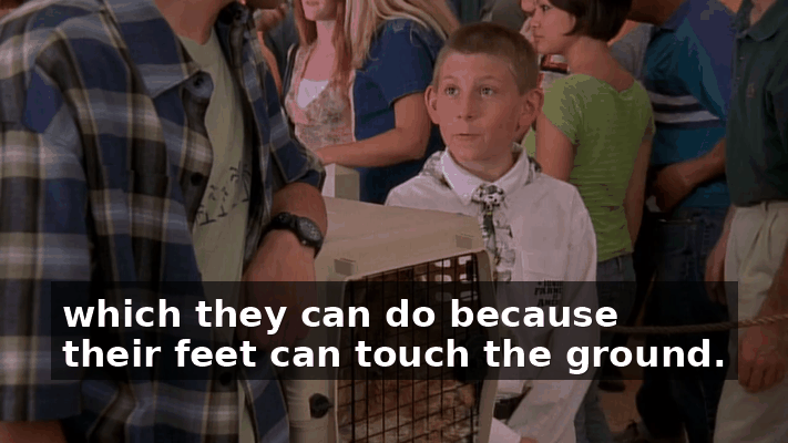 d29f67f0-922e-4329-aaa3-a41df9a926aa.gif