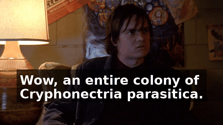 cdba96d7-7028-46a0-9151-ce2ebdbbd0cc.gif