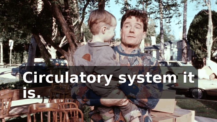 a5e8945e-c319-4ec7-b892-b1d3b092c774.gif