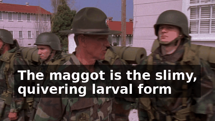 18af25d2-08de-4bae-a3dd-2696667db49c.gif