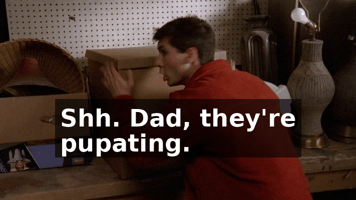 f34d614d-7d91-47a4-8643-d41370ece4a0.gif