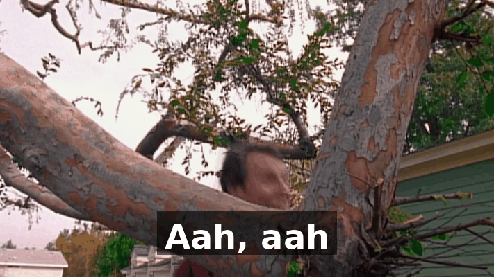 8c04ef85-53fd-4e5d-9126-56063cdbf0bf.gif