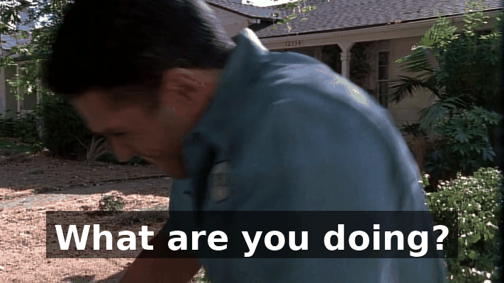 55dc08f3-44f2-4136-b797-1d6f794b3313.gif