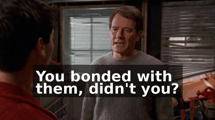 b4244147-0c1a-4859-9335-39d5b3a5947a.gif