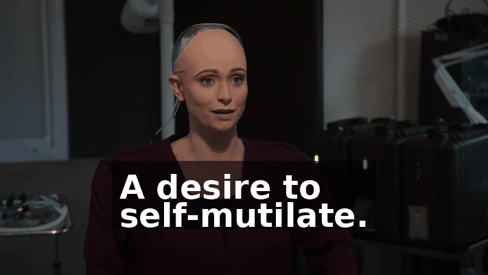 8af4e371-29c2-4a3c-91de-644514ca69e5.gif