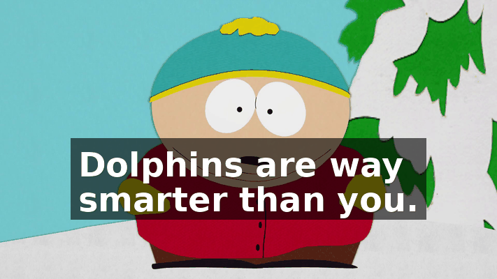 62076478-32ec-446b-a05d-38c3206f9b32.gif