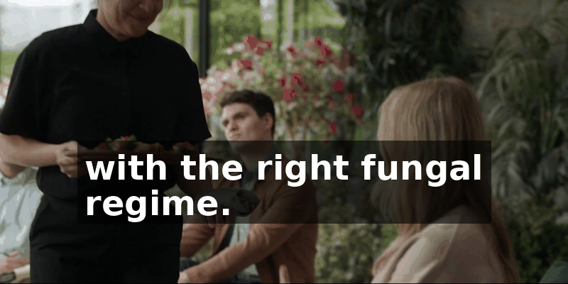c8c97fb6-b0b3-4f4f-bd23-c7913d8a0b24.gif