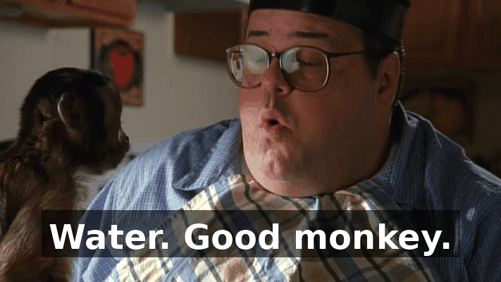 361f7cb7-9abb-496d-89a7-9ef2aeef3f72.gif