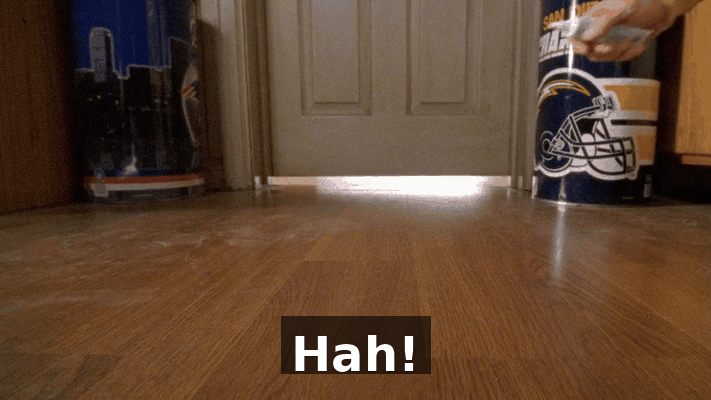 06b008d6-e872-4862-af8b-a2dce44e3ae5.gif