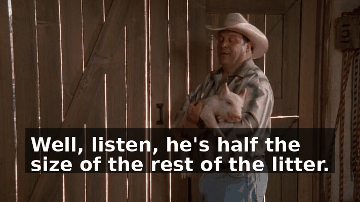 96fe75a9-c6c4-4e89-aa9b-cbefc2942c69.gif