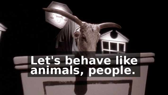 e666736c-ac7c-4dbb-9544-43e87f318d81.gif