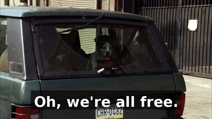 0e36edbd-0187-48a9-94f9-e404ae8b6363.gif