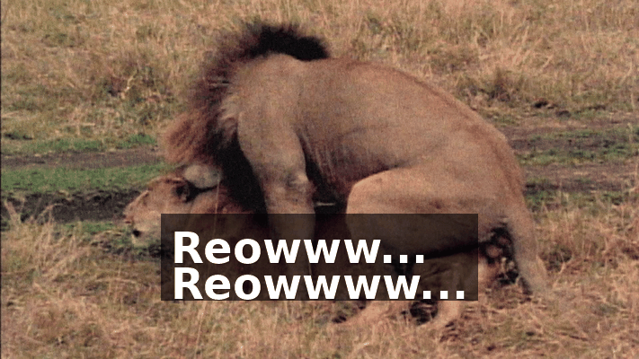 d6e55c3a-21fe-4a5c-ba61-a7858da02e99.gif