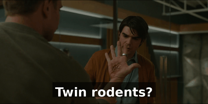 64cca9e7-df06-4759-9529-1a9b51fc3379.gif