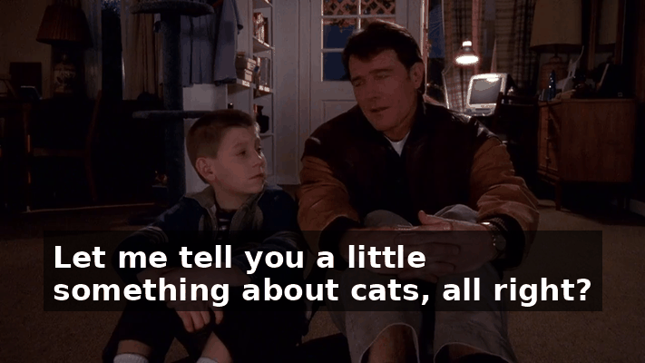 c97e8799-3df4-4bbb-83ff-9e9d5f28de9f.gif
