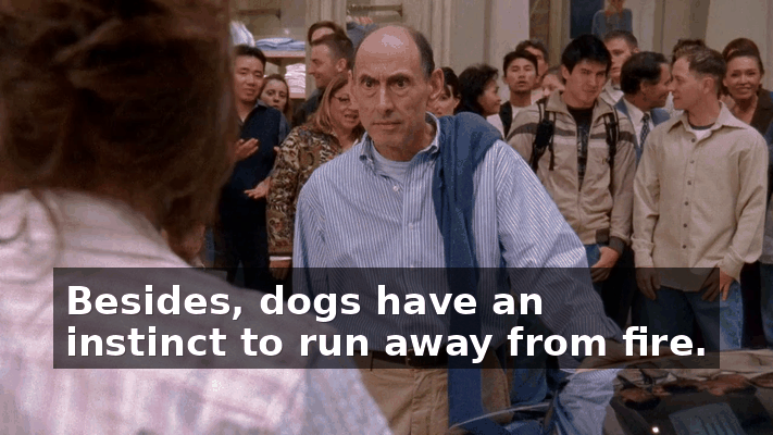 b37d16e9-49ae-4f71-93db-2d25394a92c7.gif