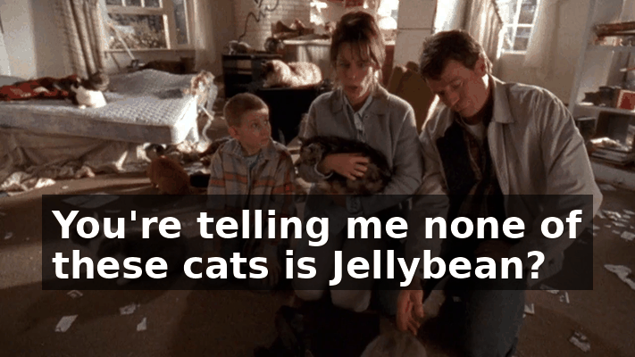 7010beeb-c5f9-4808-83f5-1f0efad6b802.gif