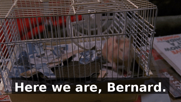 8f211a21-4200-401d-b821-0fd3dd748ee7.gif
