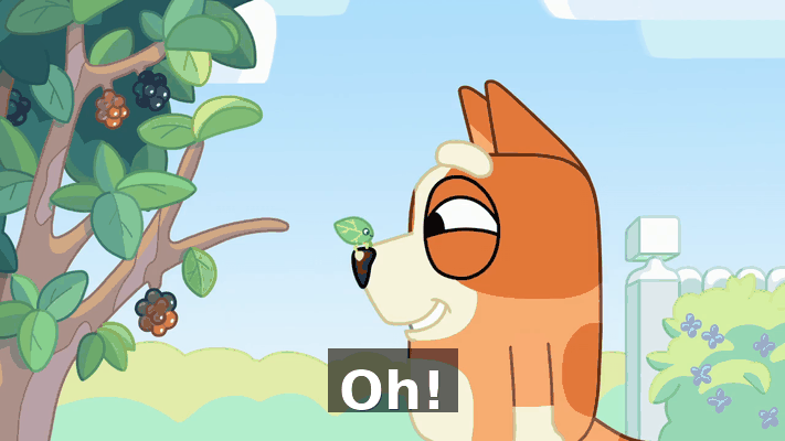 5d1853e9-480c-42bc-9078-c9c54cc52afa.gif
