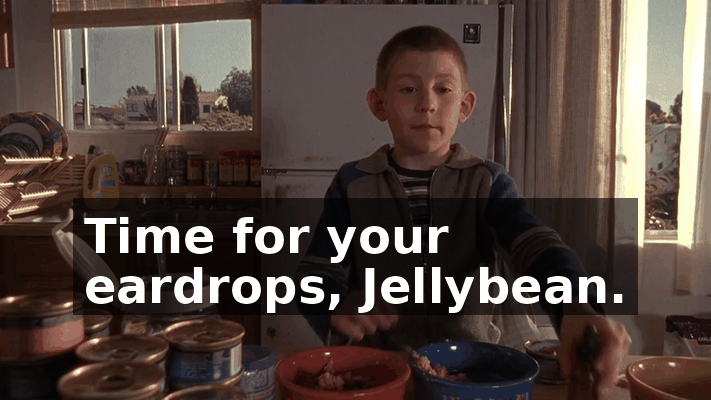 b186fb97-3141-4c10-92a3-859d87bddffd.gif