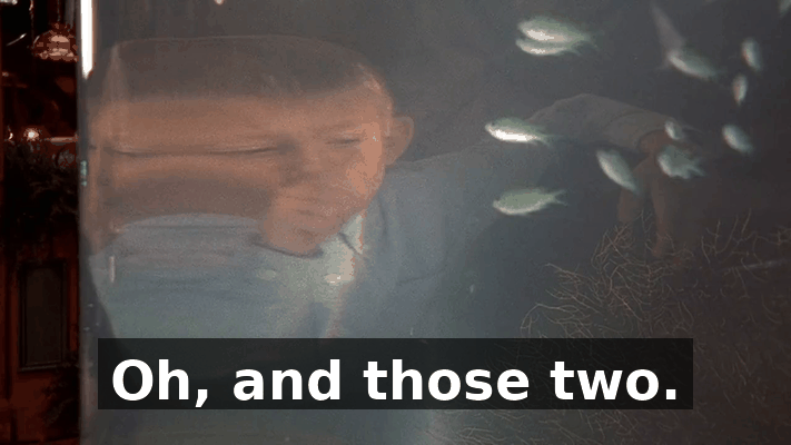 03cb8031-7116-4a14-bc66-4231411a0af2.gif