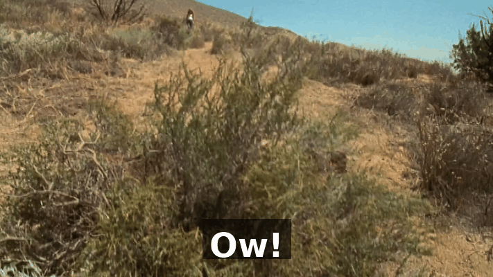 84feeec4-b090-43f5-9a1b-8b4bc686622c.gif