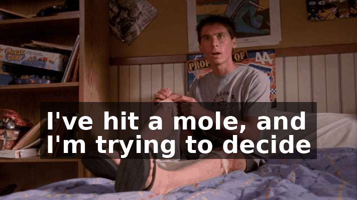 902c7ab3-7072-42fd-91ea-624c4a2dc2ba.gif