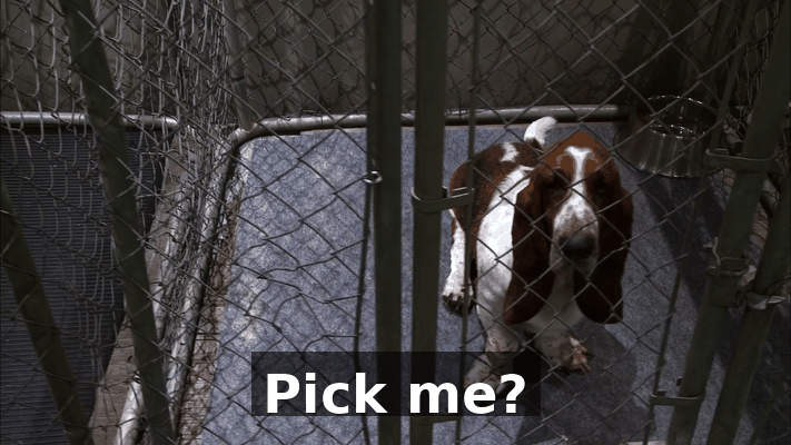 3003c220-5ce4-4526-9b89-ac27c434c4f5.gif
