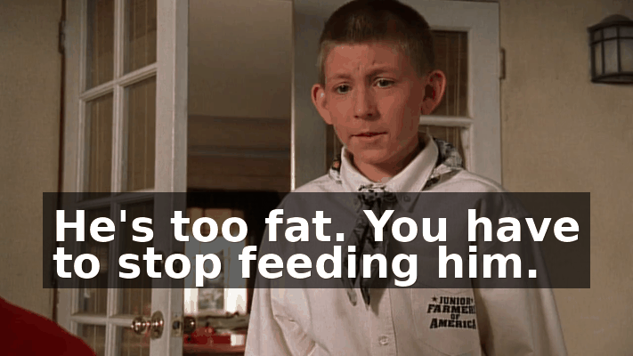 aa8182c0-529b-4cbe-9591-58ec75fc674d.gif