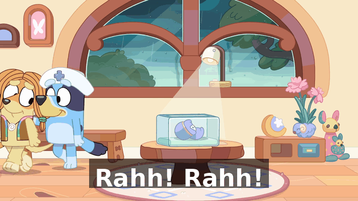 8dcdec37-8a4f-4f71-af2c-688c4ba58b27.gif