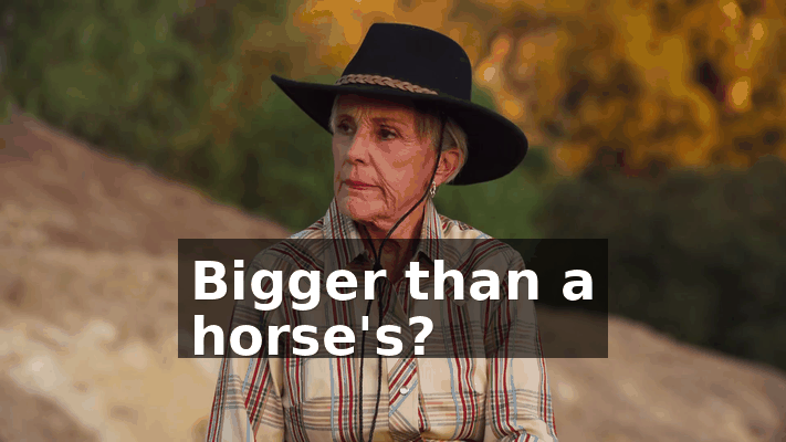 f1b84128-f652-44bd-b238-c5abc0ff4524.gif