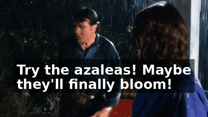 c1e00195-acd2-47f0-80c0-81978ed09268.gif