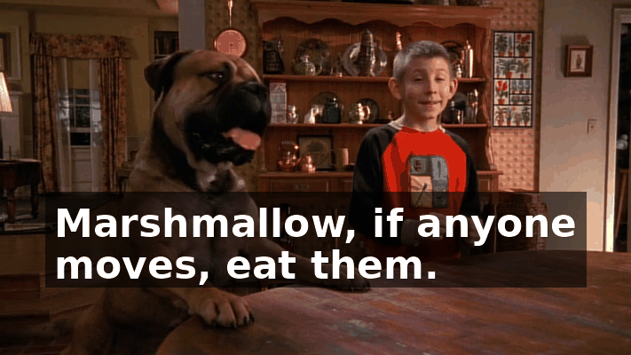 bd5491e6-07ed-4ce6-b7bd-18437c5a9c60.gif