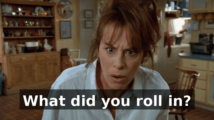 f0a69a47-70e2-4808-8021-0d445e8c216c.gif